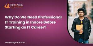 Read more about the article Why Do We Need Professional IT Training in Indore Before Starting an IT Career?